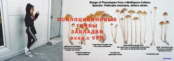 MDMA Белоозёрский