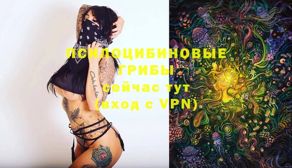 герыч Белокуриха